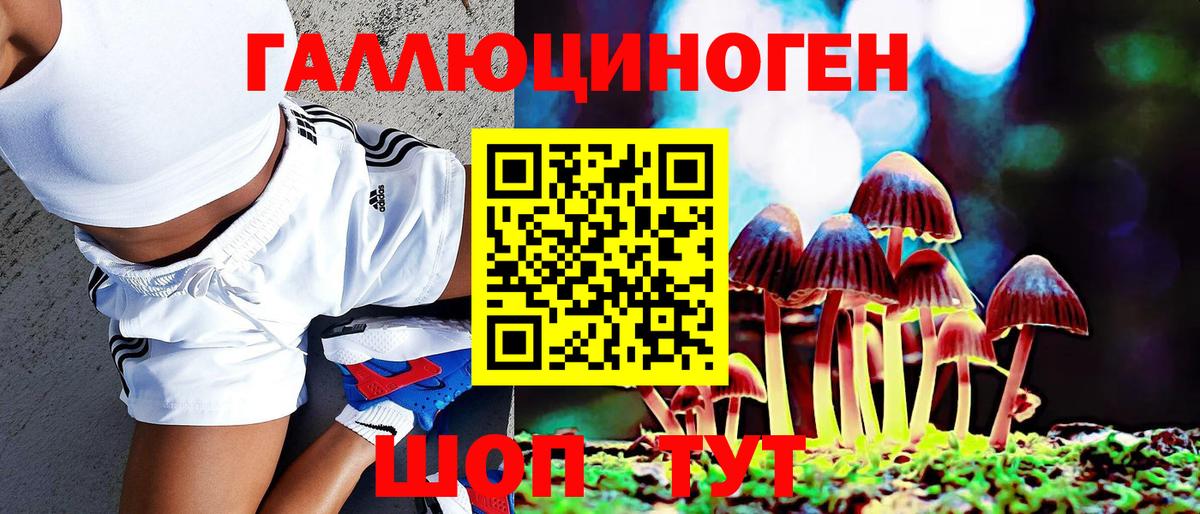 Галлюциногенные грибы ЛСД Нерюнгри